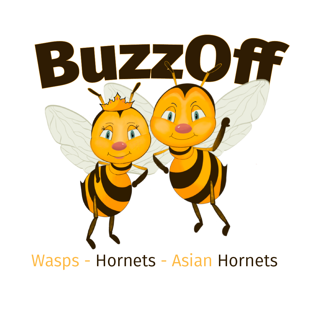 BuzzOff